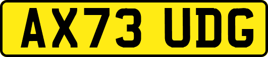 AX73UDG