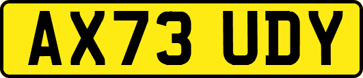 AX73UDY
