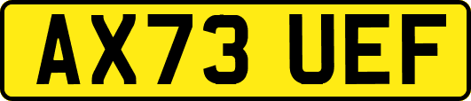 AX73UEF