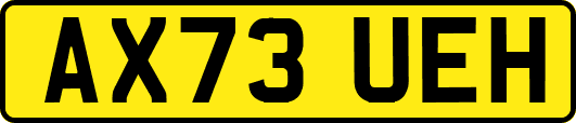 AX73UEH