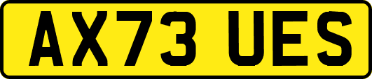 AX73UES