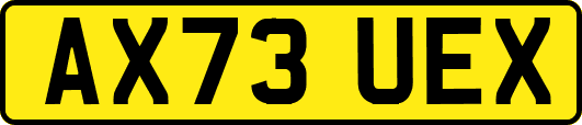 AX73UEX