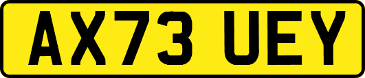 AX73UEY