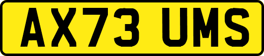 AX73UMS