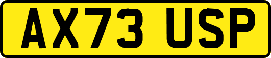 AX73USP