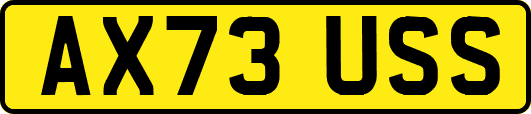 AX73USS