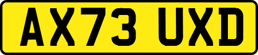 AX73UXD