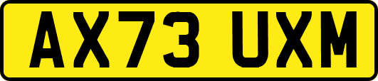 AX73UXM
