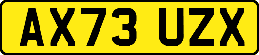 AX73UZX