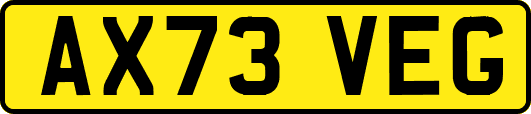 AX73VEG