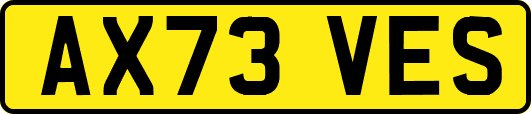 AX73VES