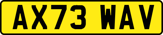 AX73WAV