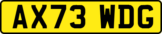 AX73WDG