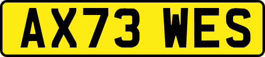 AX73WES
