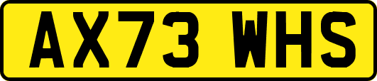 AX73WHS