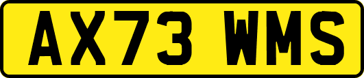 AX73WMS