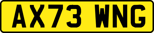 AX73WNG