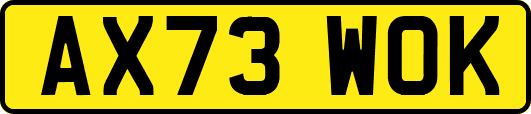 AX73WOK