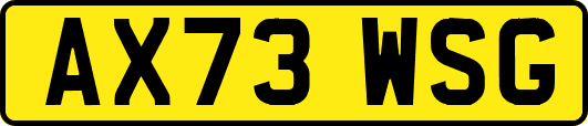 AX73WSG