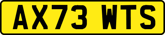 AX73WTS