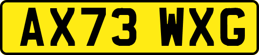 AX73WXG