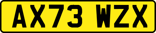AX73WZX