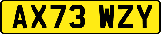 AX73WZY