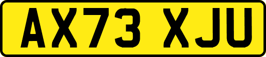 AX73XJU
