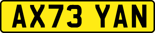 AX73YAN