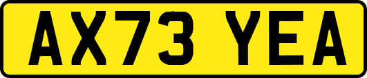 AX73YEA