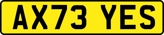 AX73YES