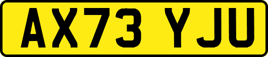 AX73YJU