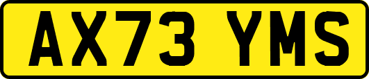 AX73YMS