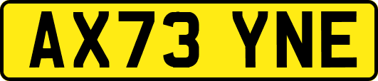 AX73YNE