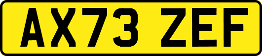 AX73ZEF