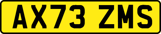 AX73ZMS