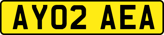 AY02AEA