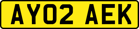 AY02AEK