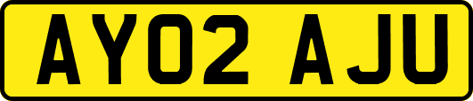 AY02AJU