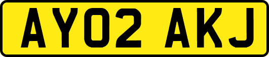 AY02AKJ