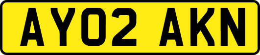 AY02AKN