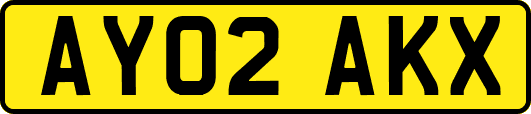 AY02AKX