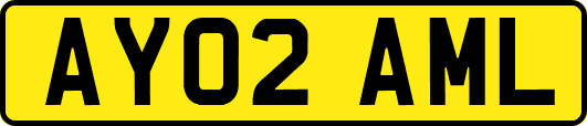 AY02AML