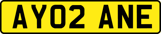 AY02ANE