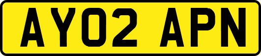 AY02APN