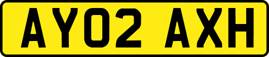 AY02AXH
