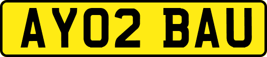 AY02BAU