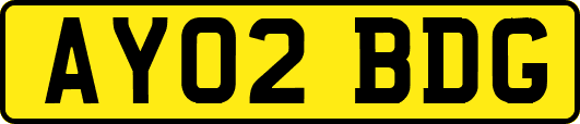 AY02BDG