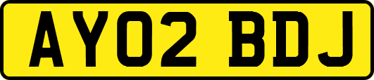 AY02BDJ