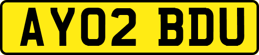 AY02BDU